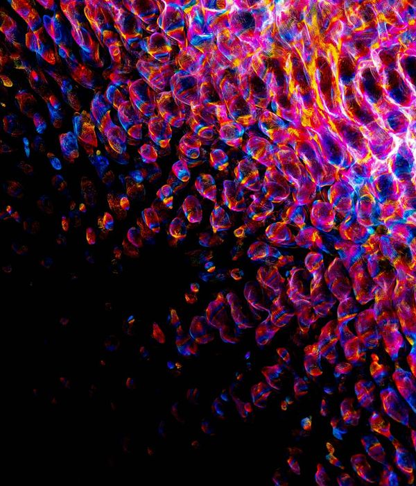 Abstract glowing blue geometric shapes representing balance